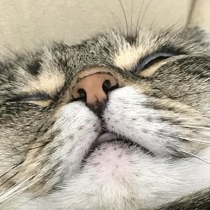 Meet your Posher, Tim